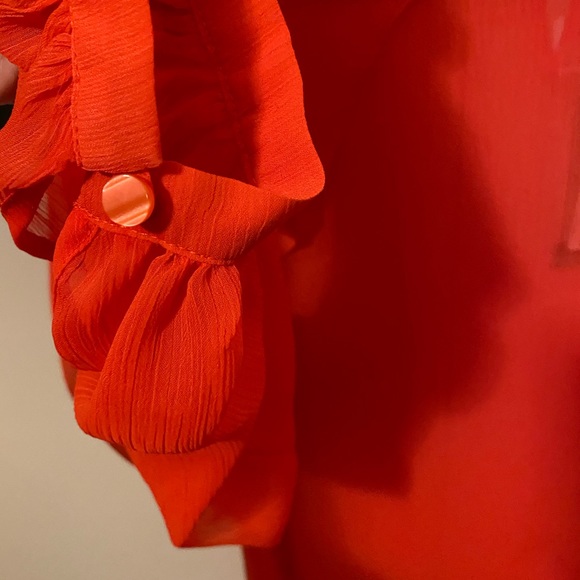 Gorgeous Ruffle Blouse - Picture 4 of 4